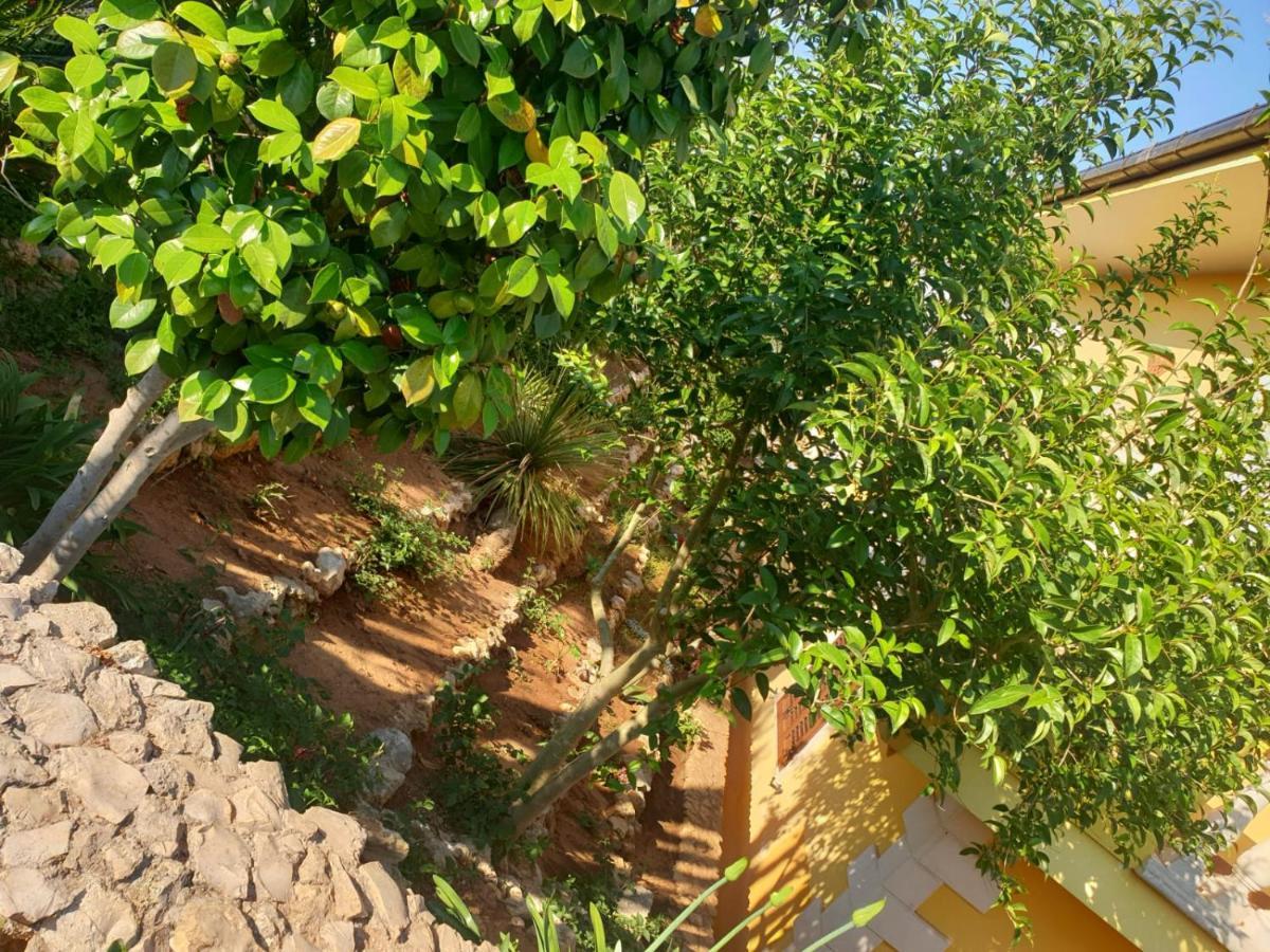 Villa Sargheruoli Monteroni di Lecce Dış mekan fotoğraf