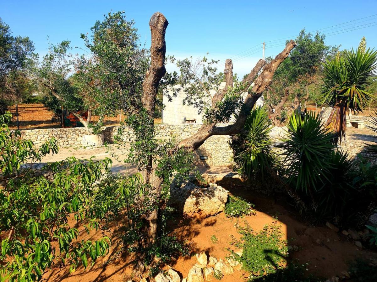 Villa Sargheruoli Monteroni di Lecce Dış mekan fotoğraf