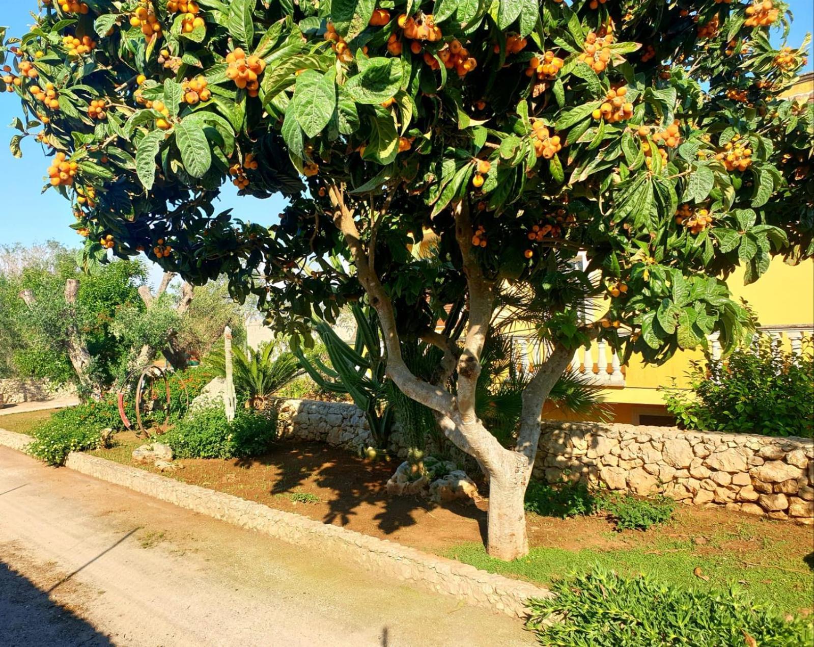 Villa Sargheruoli Monteroni di Lecce Dış mekan fotoğraf